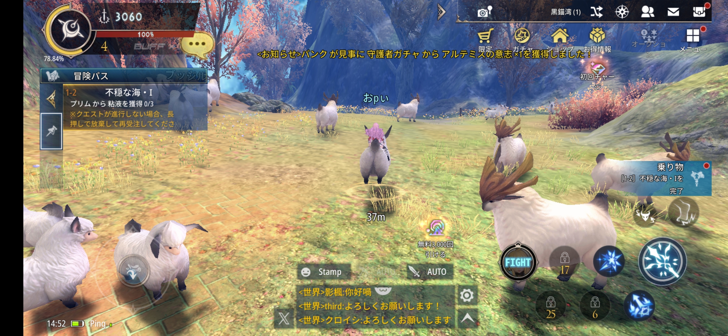 幻想神域2-Evolutionのプレイ画面
