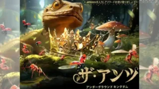 ザ・アンツのアイキャッチ画像